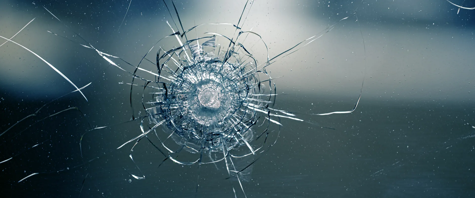 Bumper & Windshield Replacement near Houston, TX